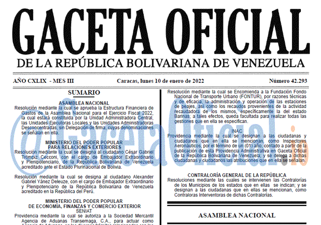 Gaceta Oficial 42293 del 10 enero 2022