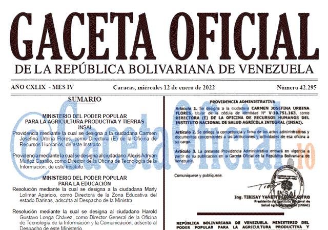 Gaceta Oficial 42295 del 12 enero 2022