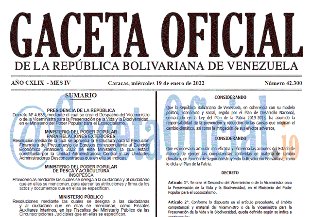 Gaceta Oficial 42300 del 19 enero 2022